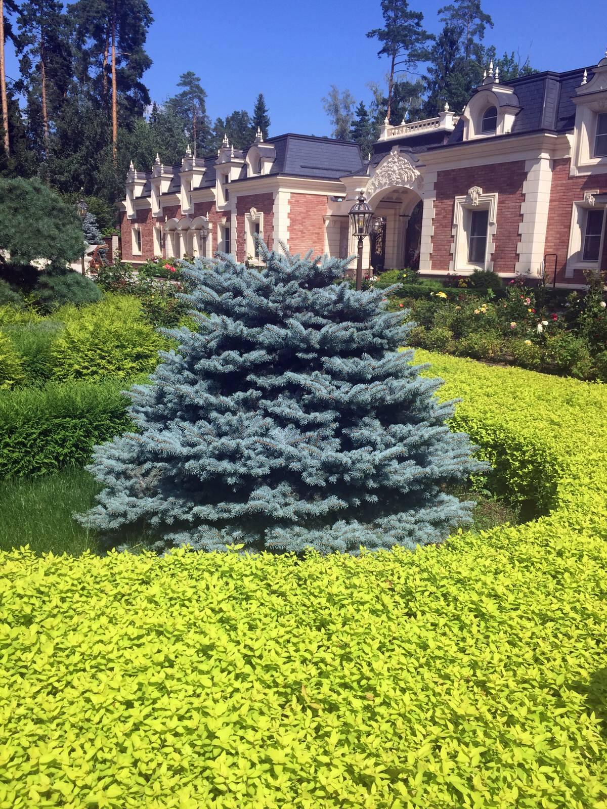 Сосновый Бор 2017.