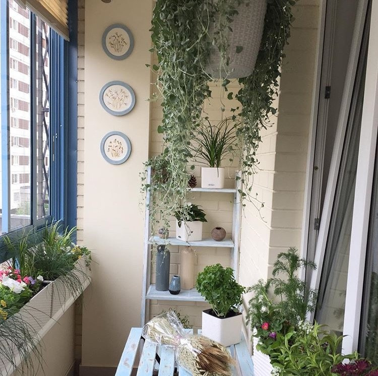 Фоновое изображение профиля Елена