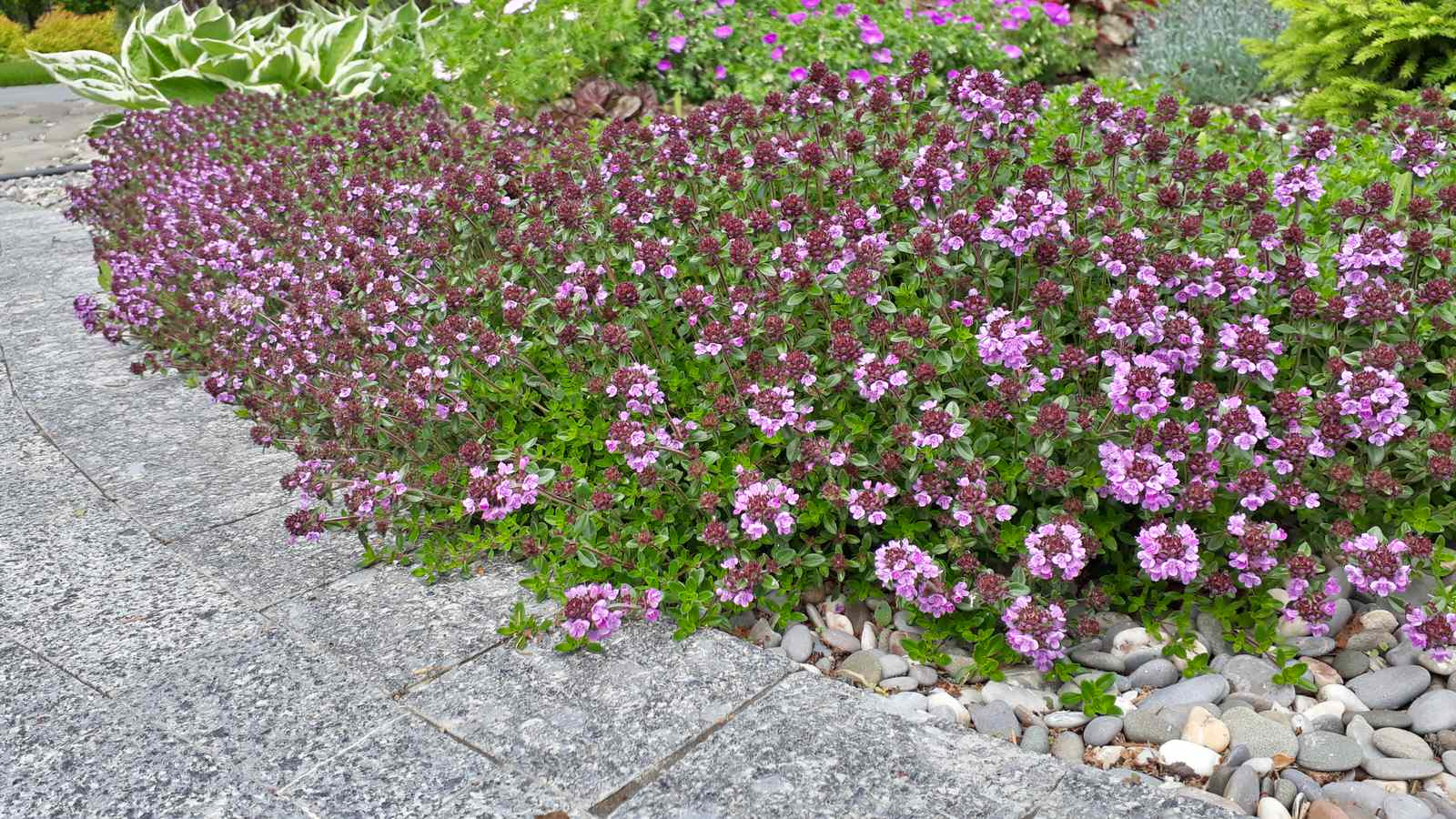 Графские пруды