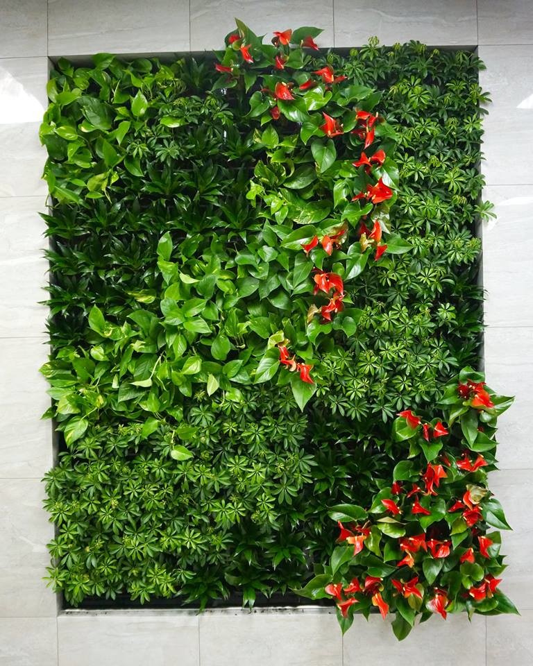 Vertical Garden