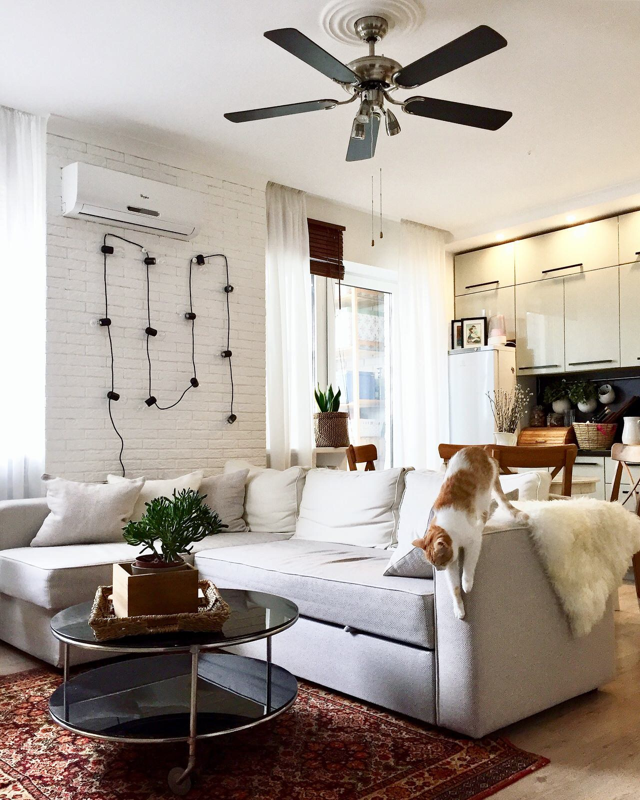 Обложка проекта: Квартира дизайнера, 50м2