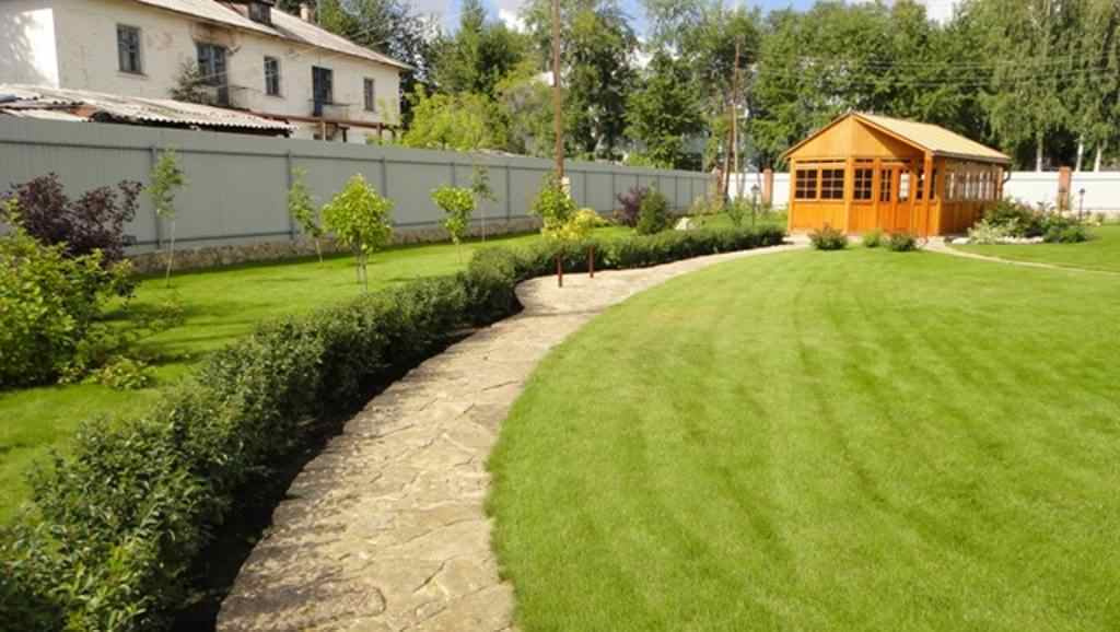 Светлана Ященко