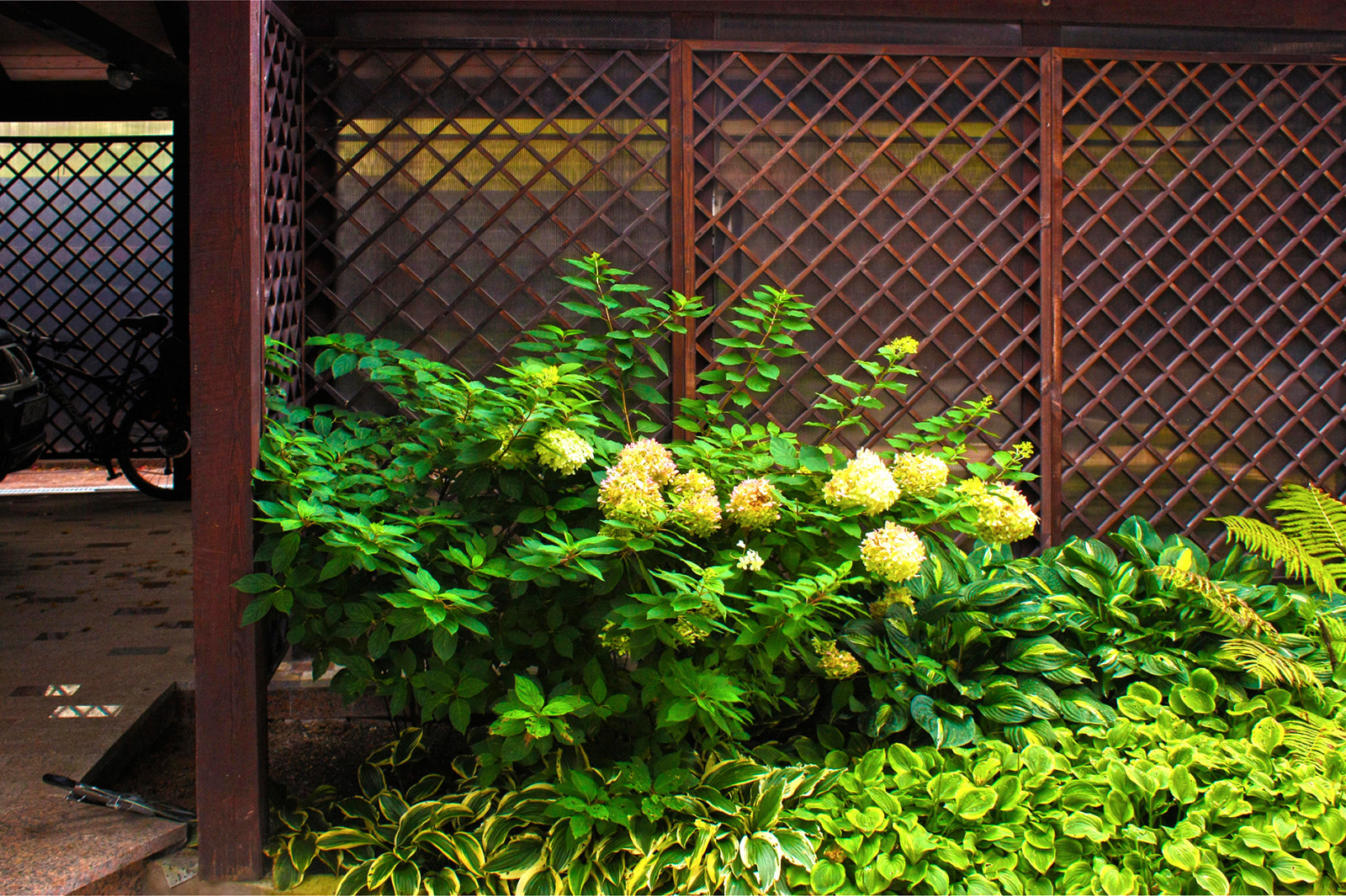 Ландшафтный проект участка в Дмитровском районе.