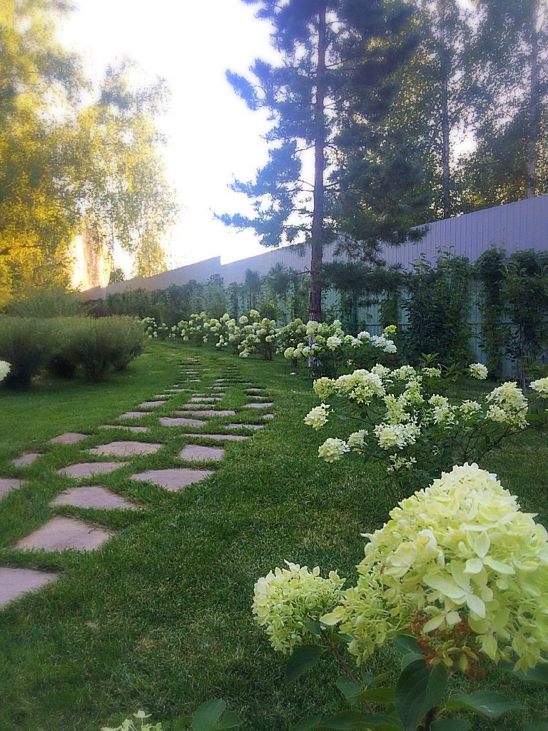 Вавиловец