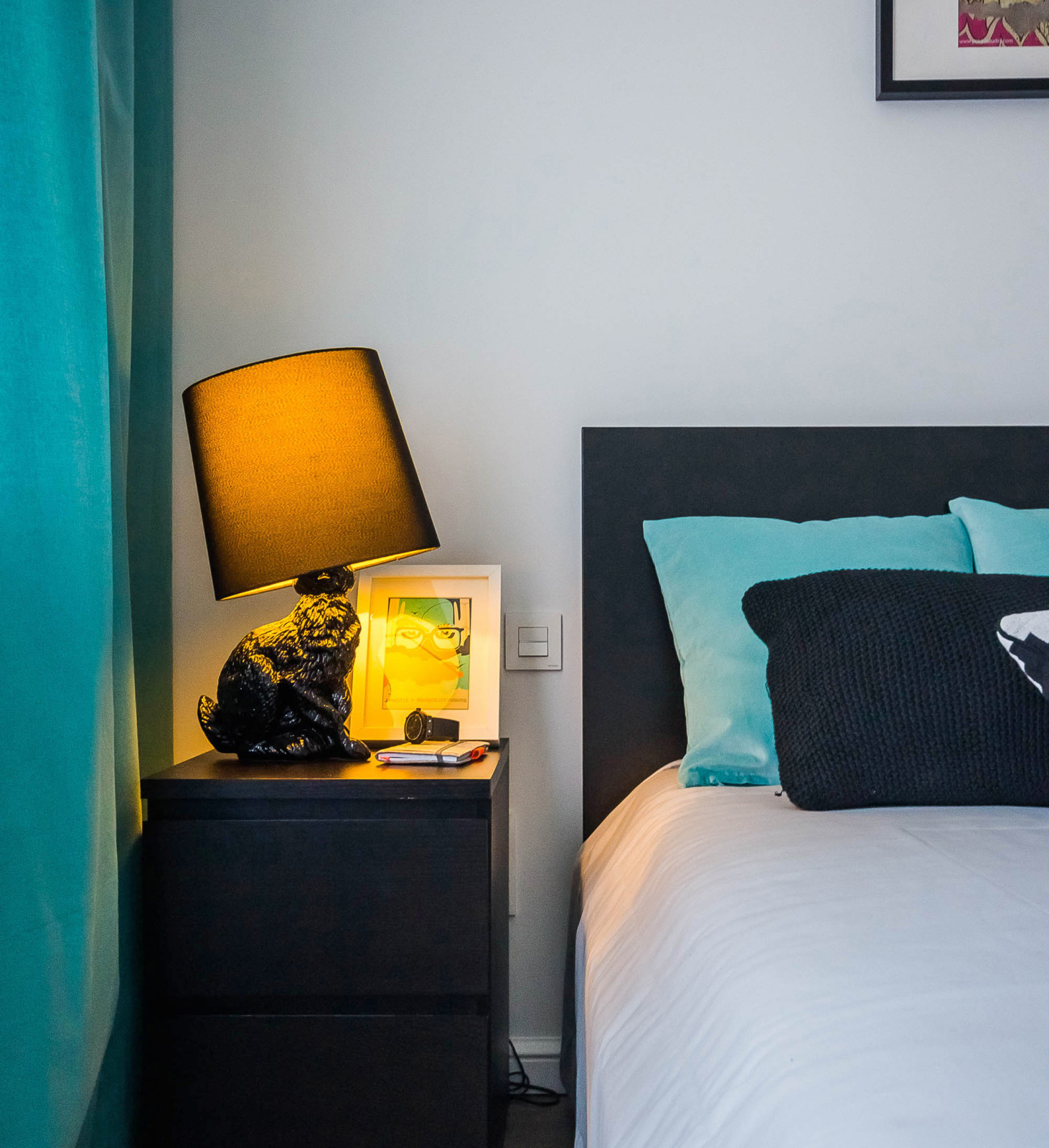 Следуй за кроликом