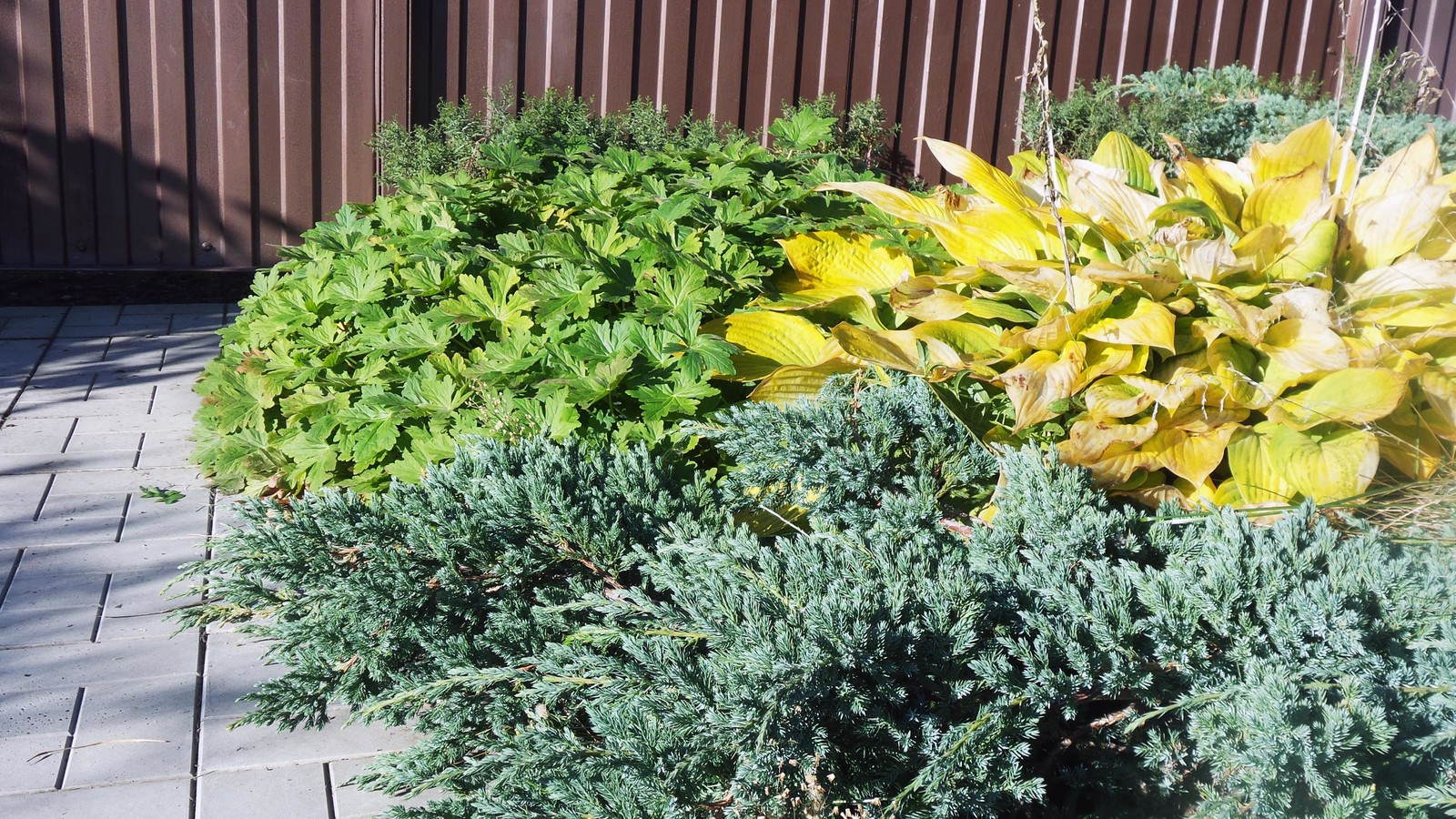 Каменистая горка и её реконструкция