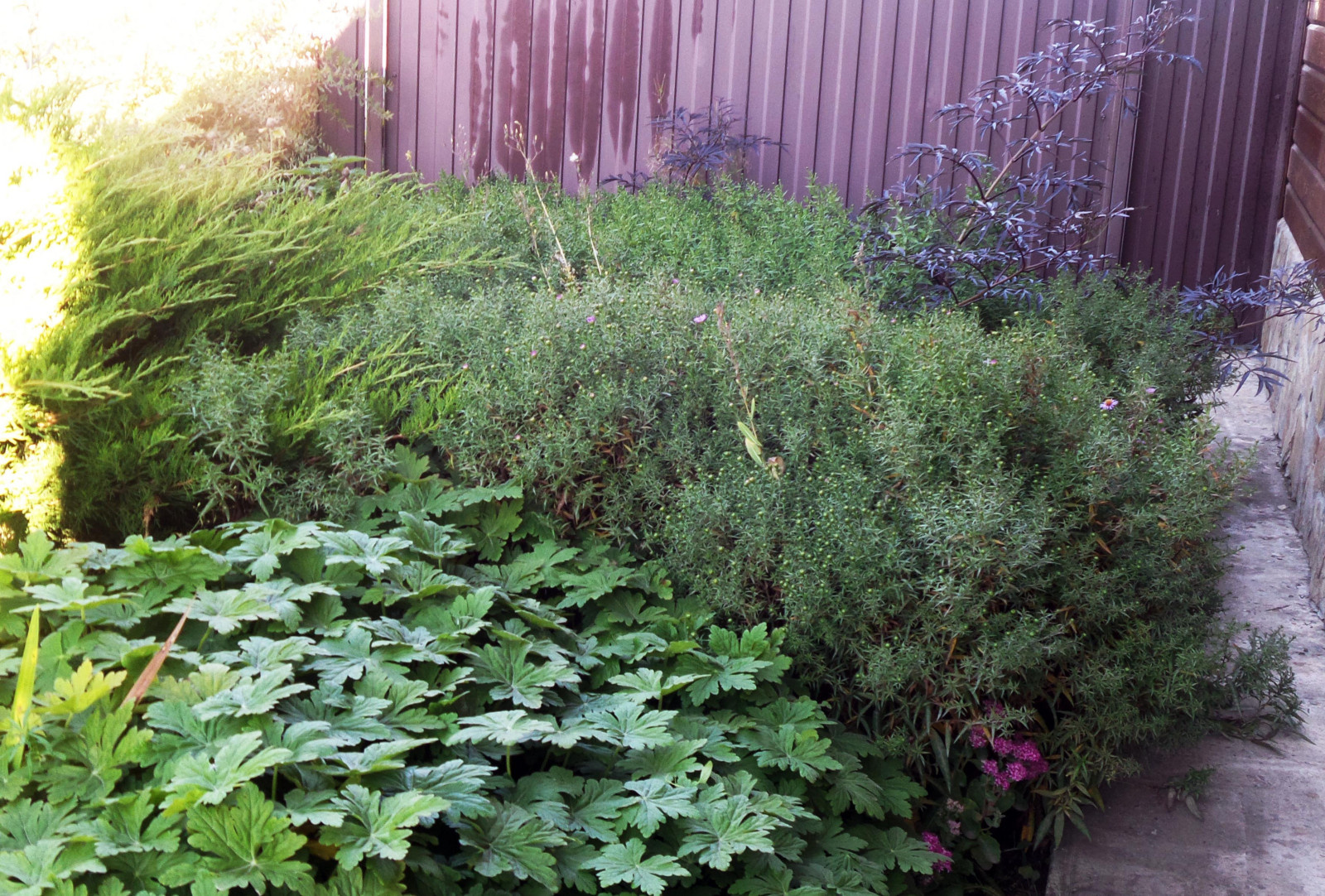 Каменистая горка и её реконструкция