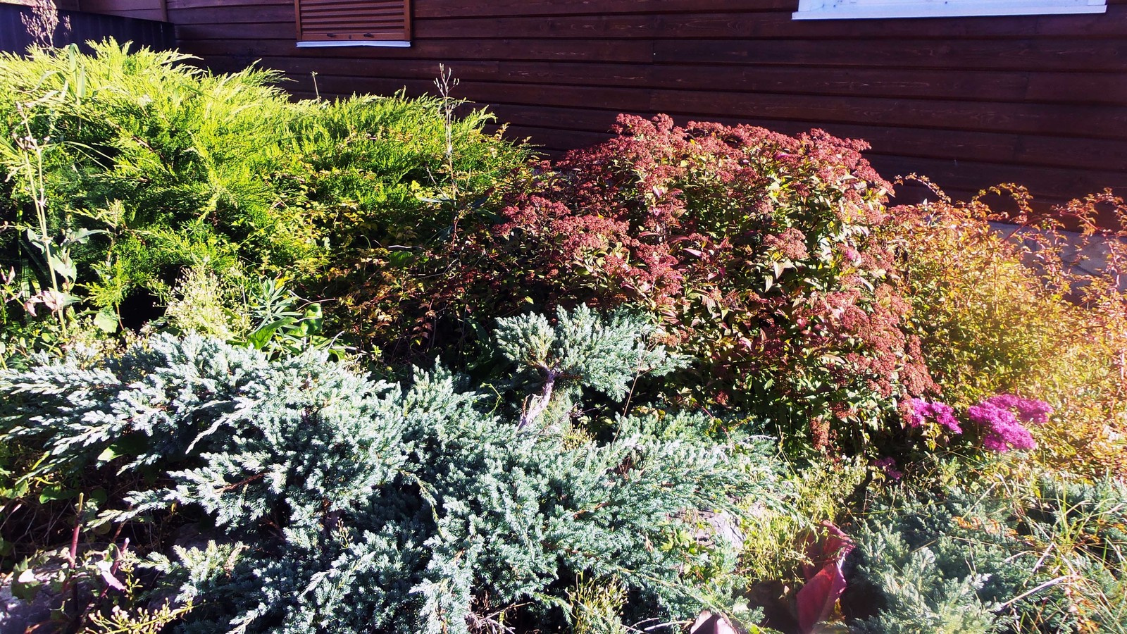 Каменистая горка и её реконструкция