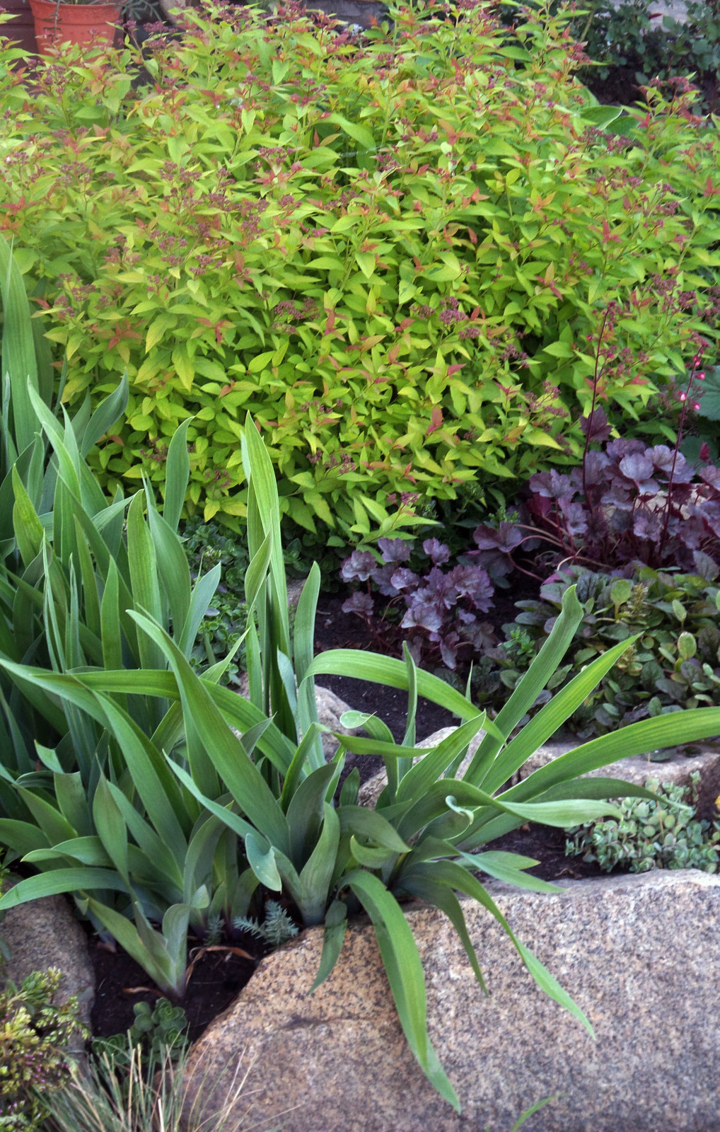 Цветники и композиции