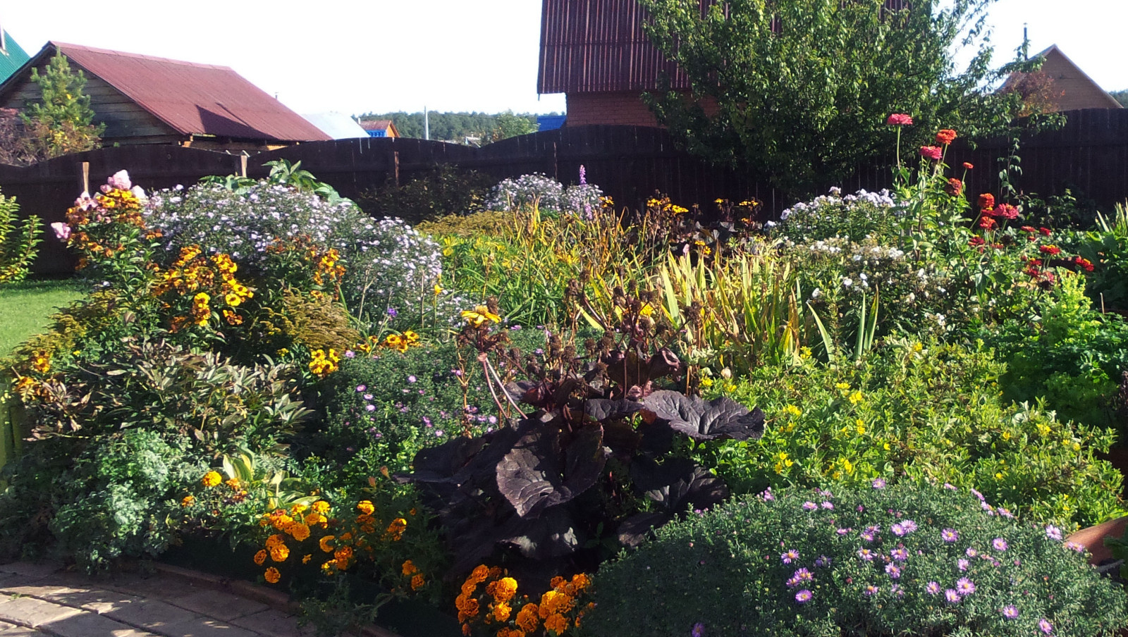 Цветники и композиции