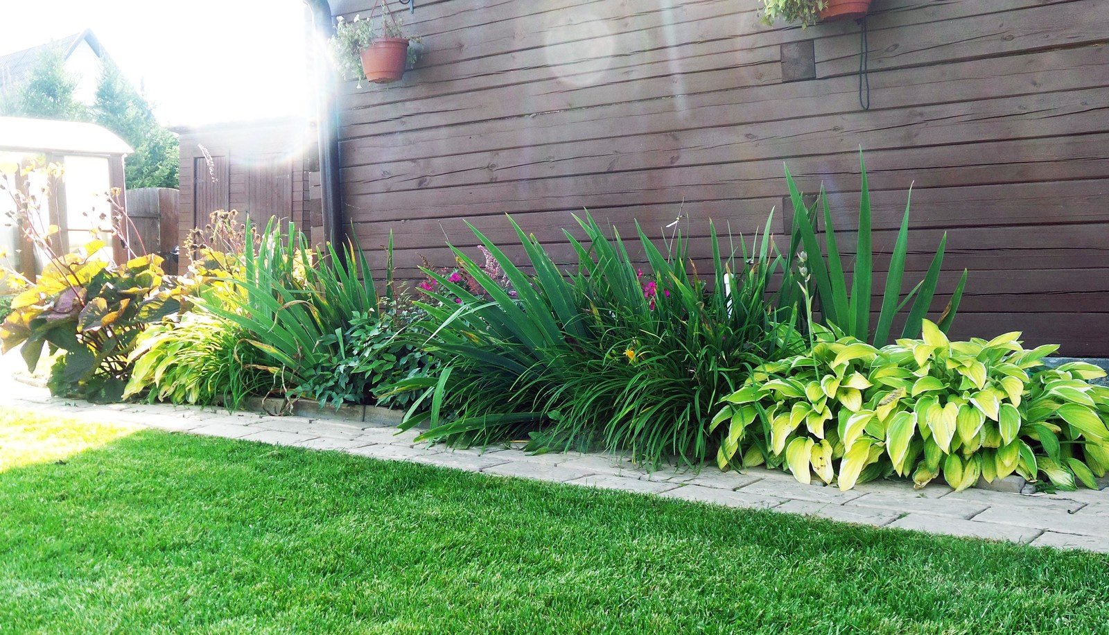 Цветники и композиции