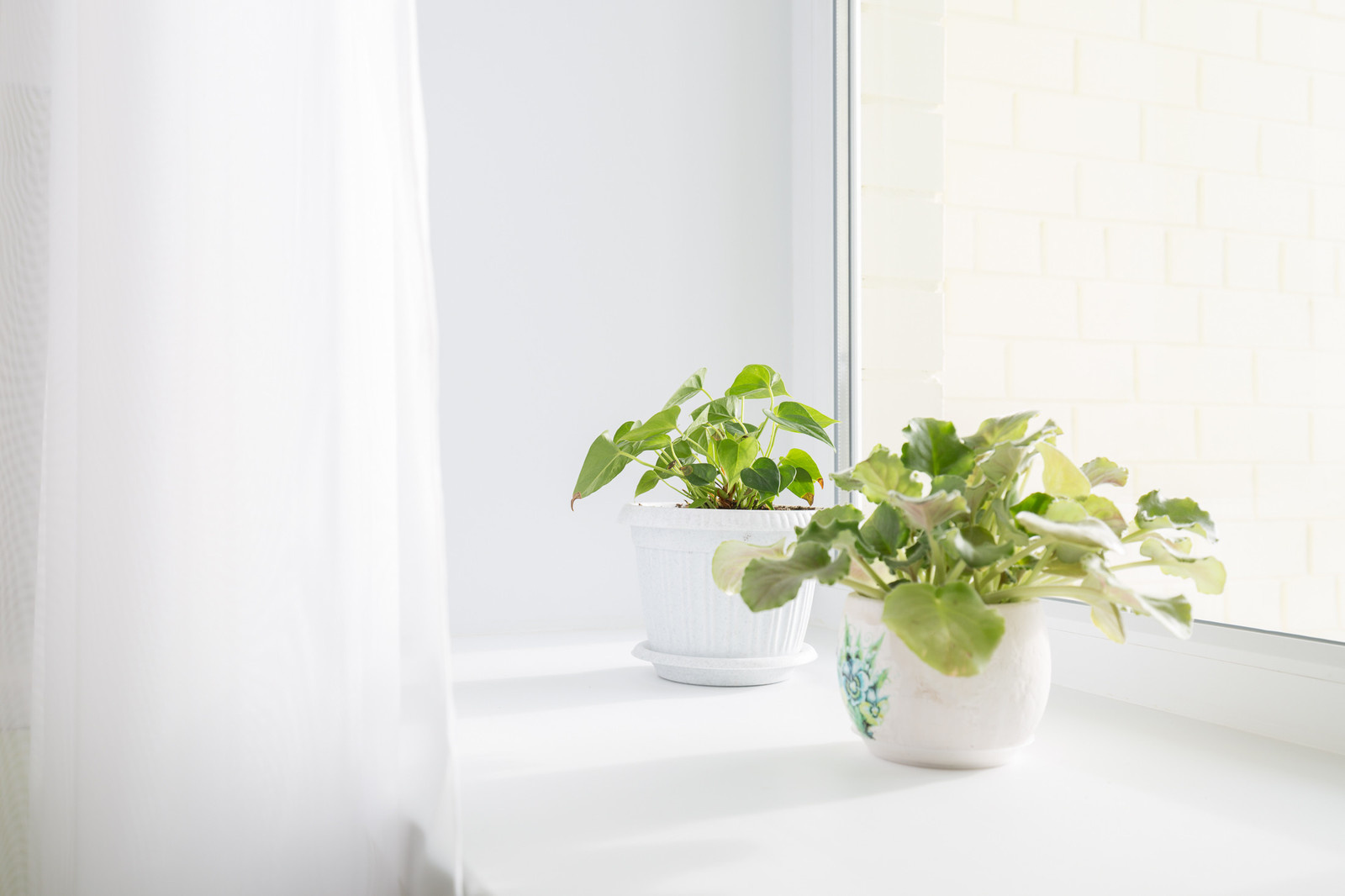 Кухня цвета зеленого яблока