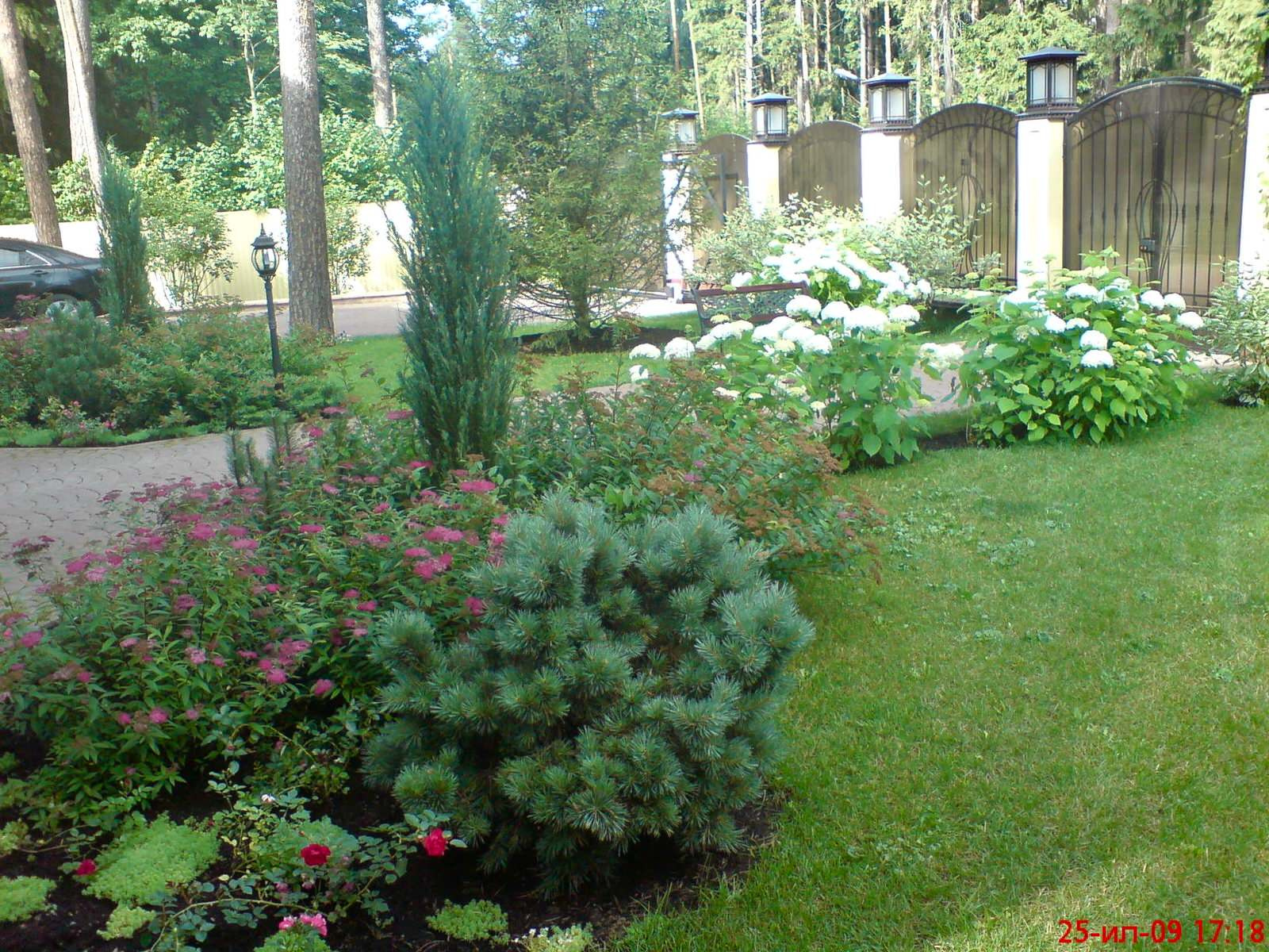 КП Сосновый бор