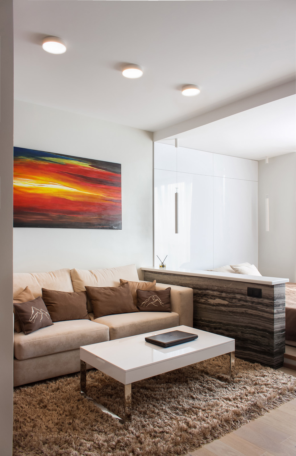 Студия 45 кв.м для молодого бизнесмена