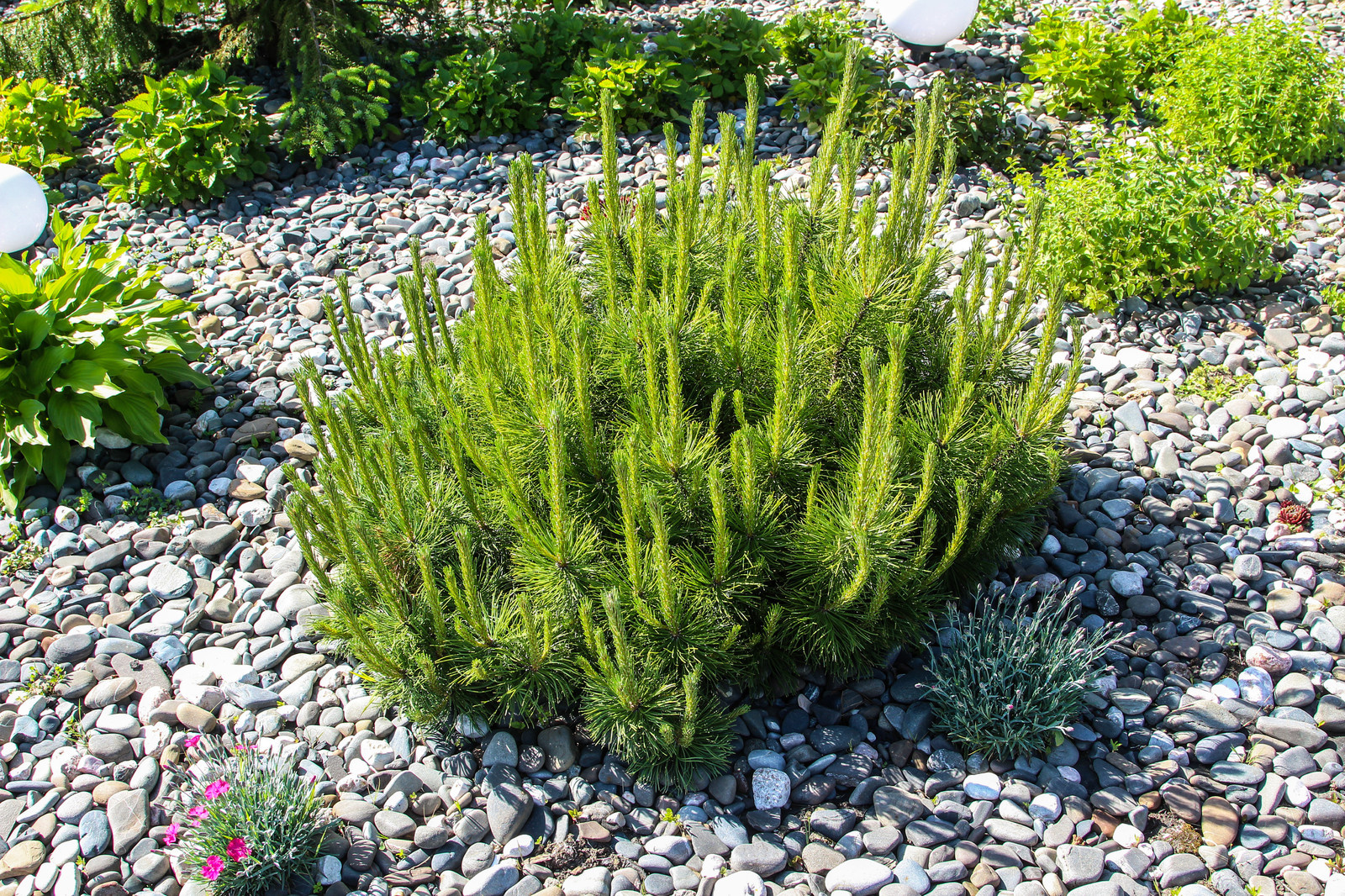 Онегин Парк 1