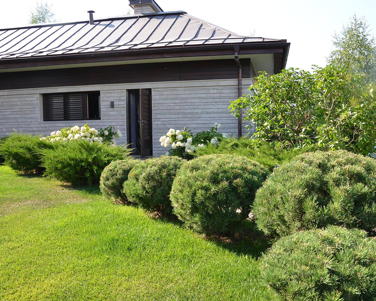 Современный сад в КП "Бенелюкс" вилла 1