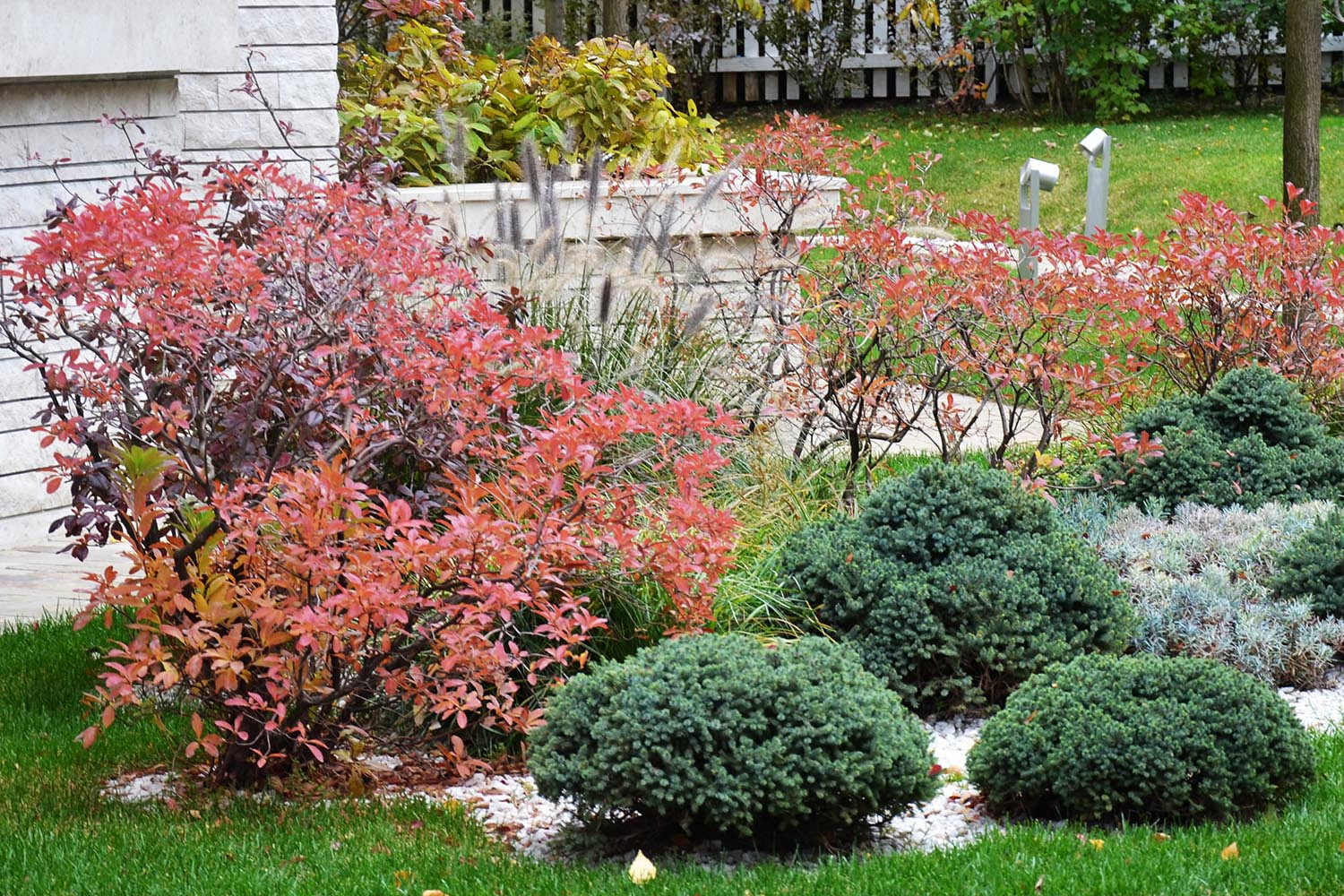 Современный сад в КП "Бенелюкс" вилла 1