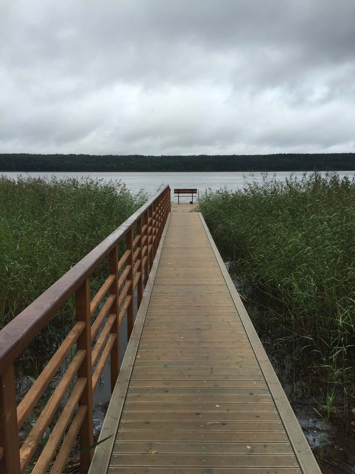 Петровское