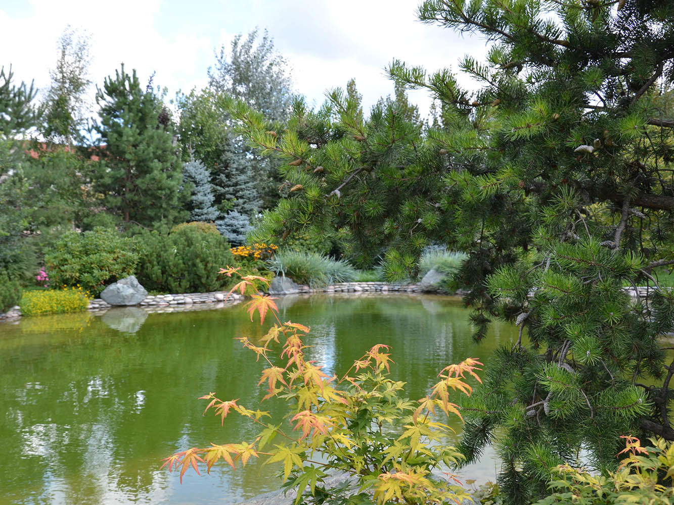 Ландшафтный сад с прудом в КП "Европа"