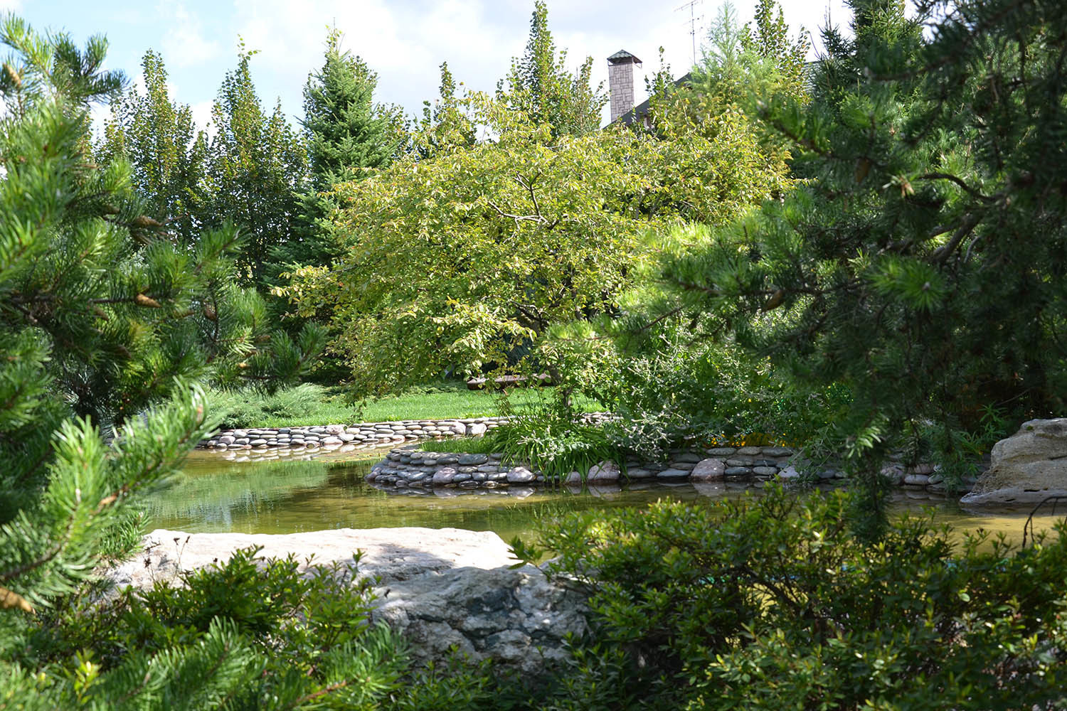 Ландшафтный сад с прудом в КП "Европа"