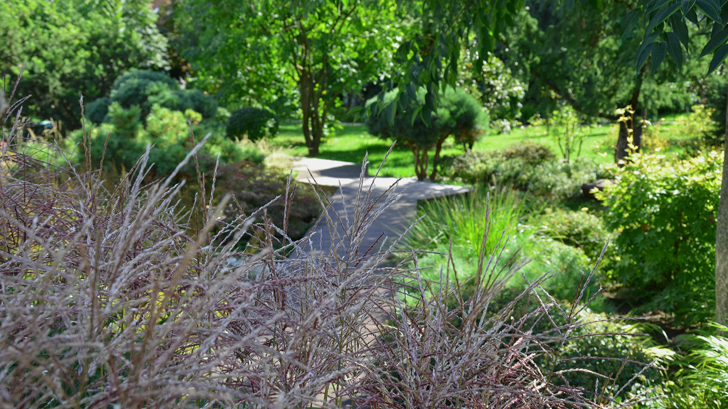 Ландшафтный сад с прудом в КП "Европа"