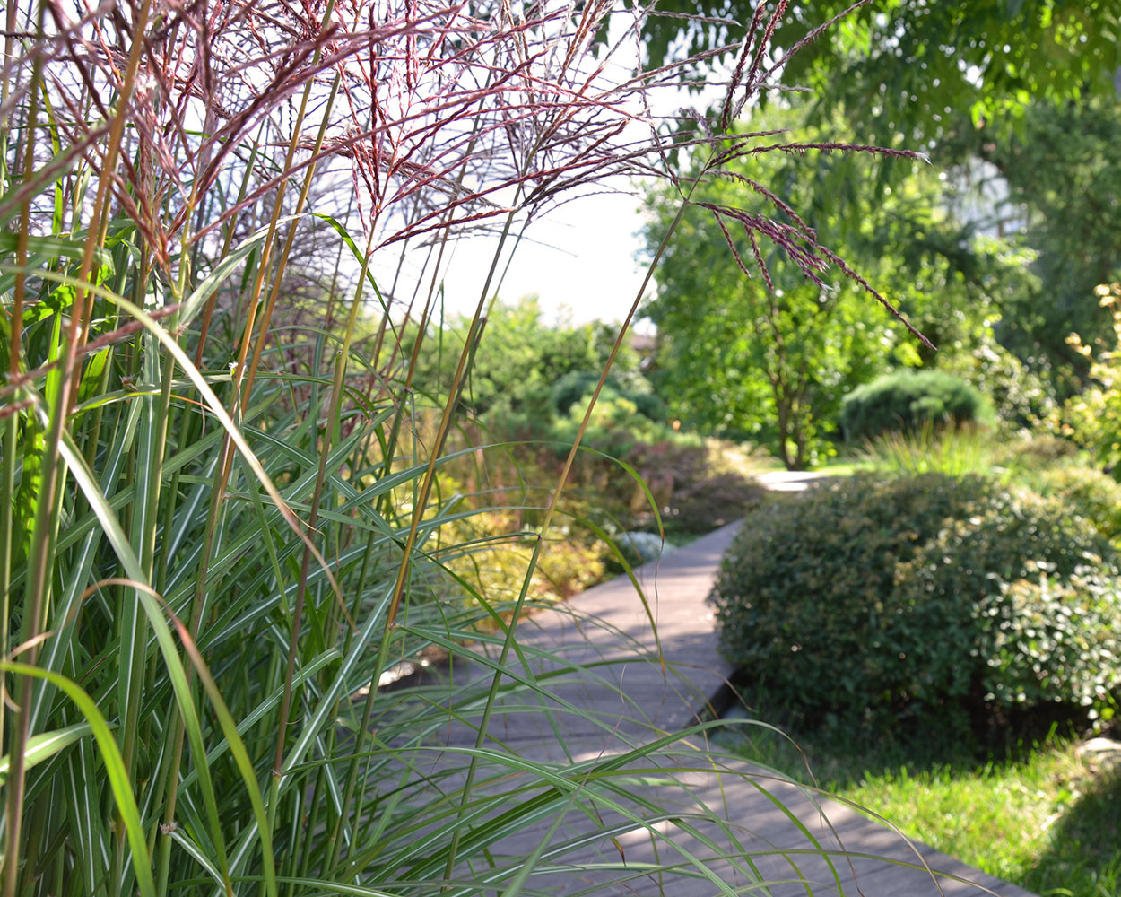 Ландшафтный сад с прудом в КП "Европа"