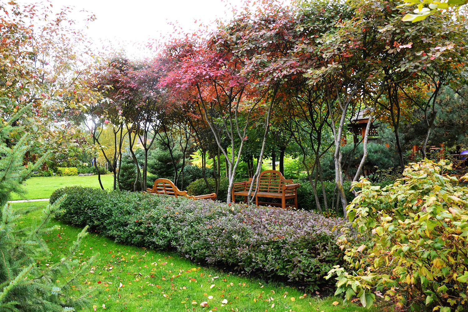 Ландшафтный сад с прудом в КП "Европа"