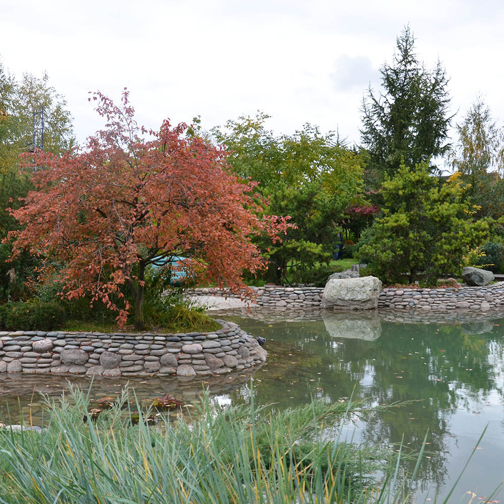 Ландшафтный сад с прудом в КП "Европа"