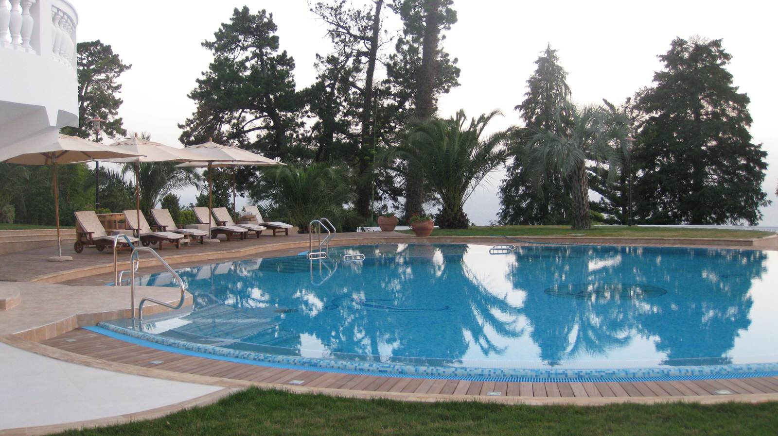 Лариса Толмасова