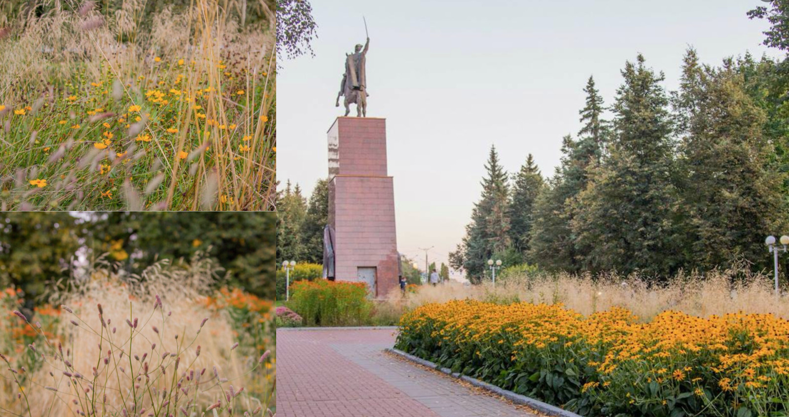 Дарья Родионова