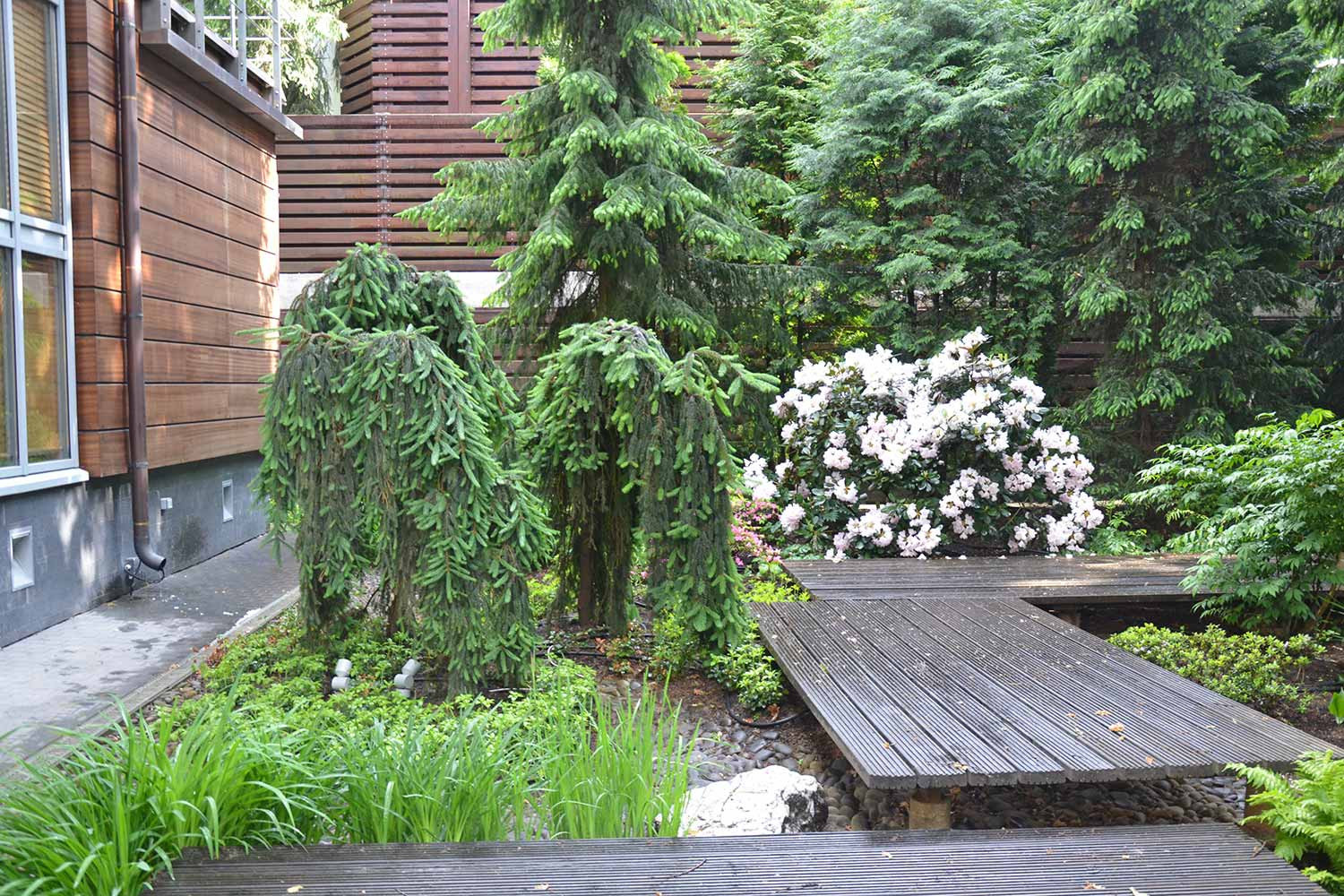 Обложка альбома: Дорожка из настила