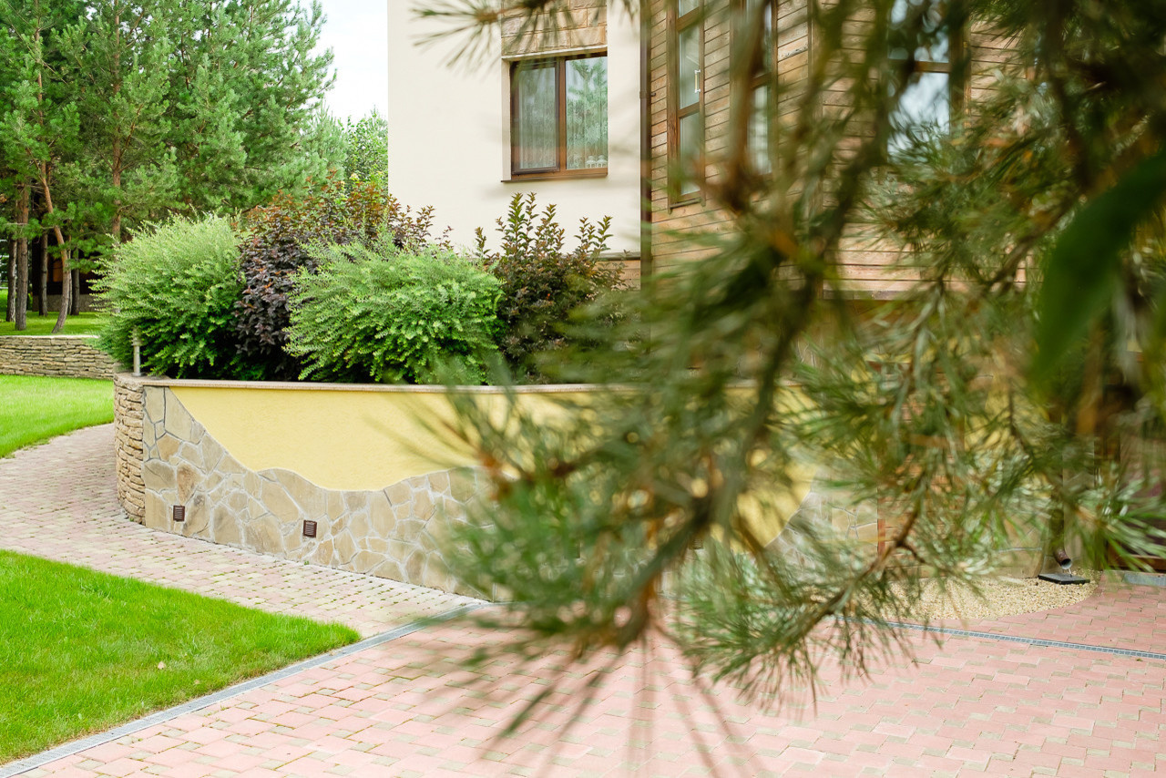 Фоновое изображение профиля Эстетика Сада