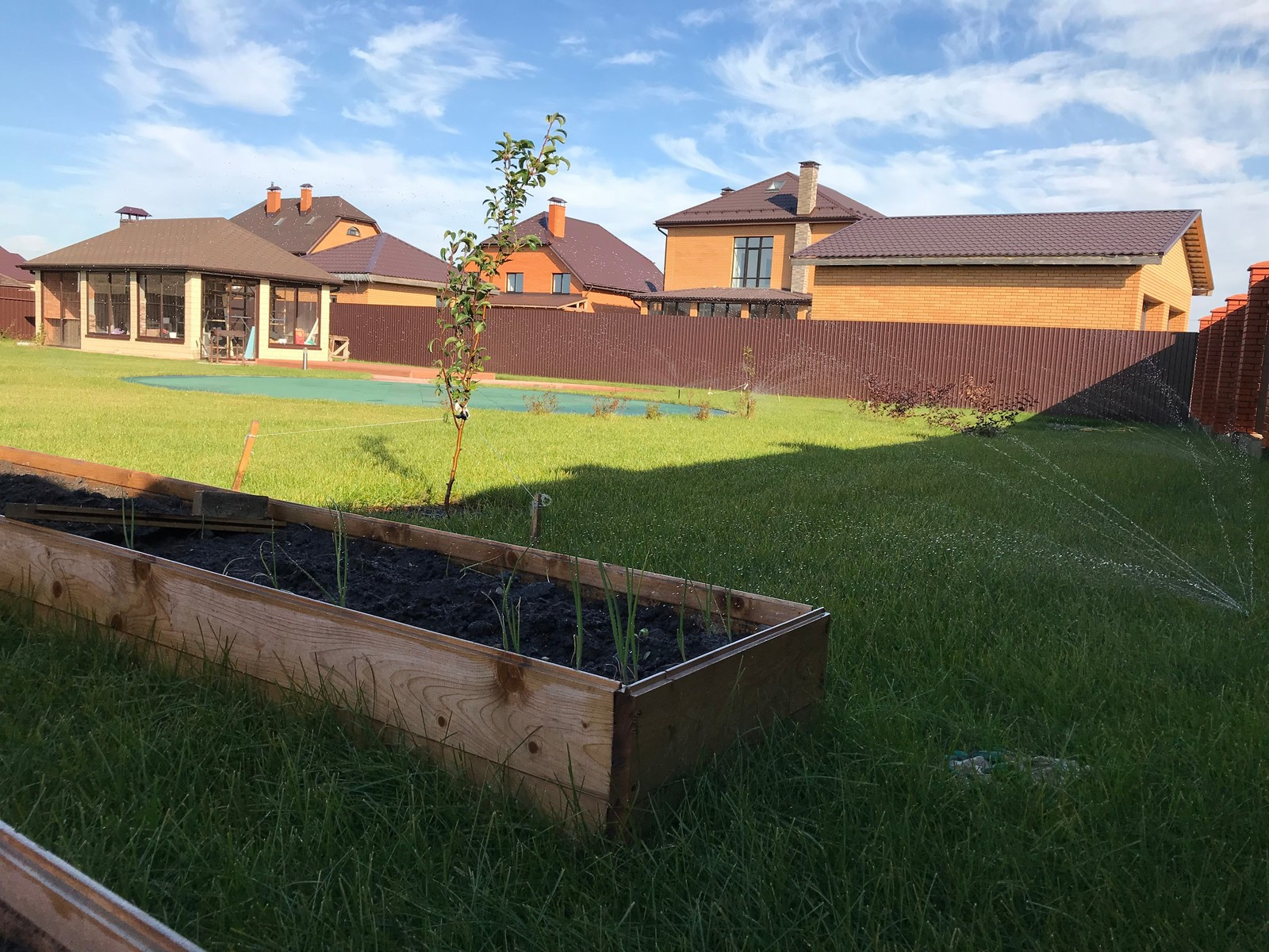 Антон Шведов