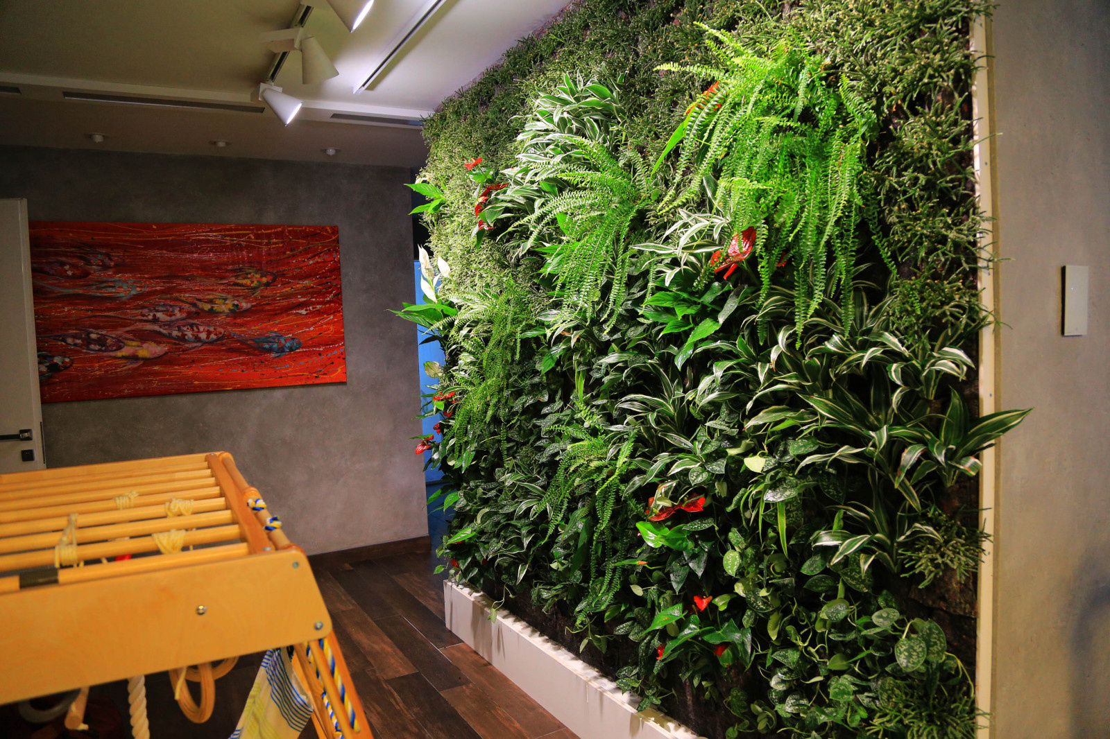 Фитостена в квартире, Озерки