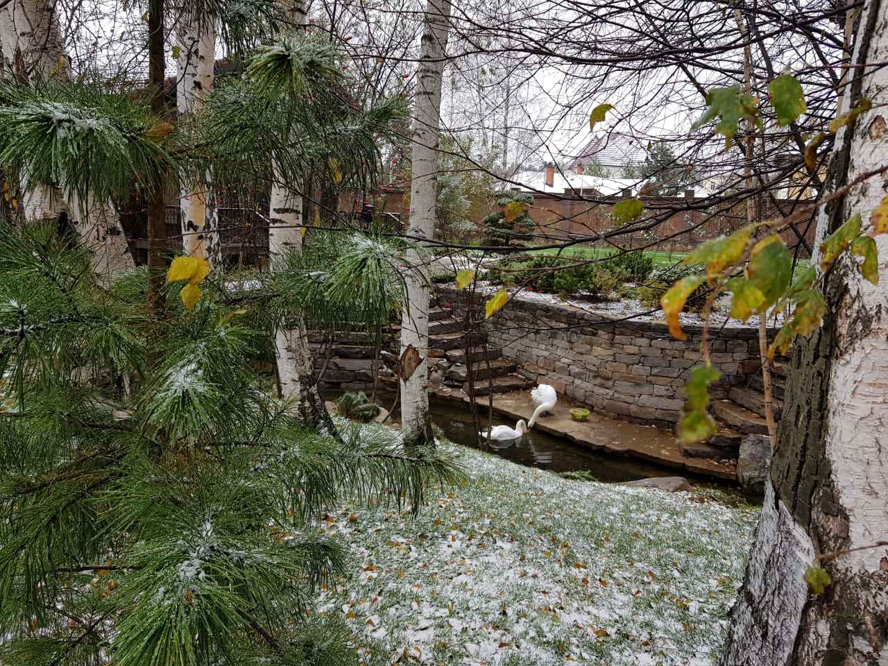 Берега загородной жизни