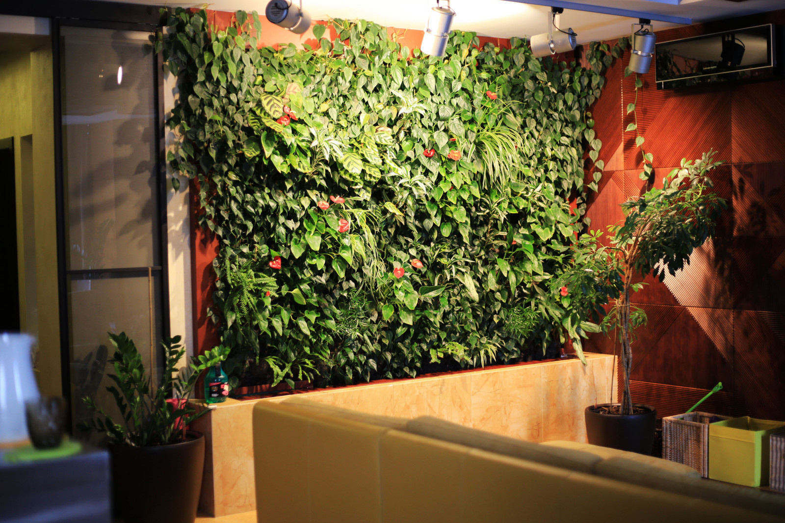 Фитостена в квартире, Коломяги