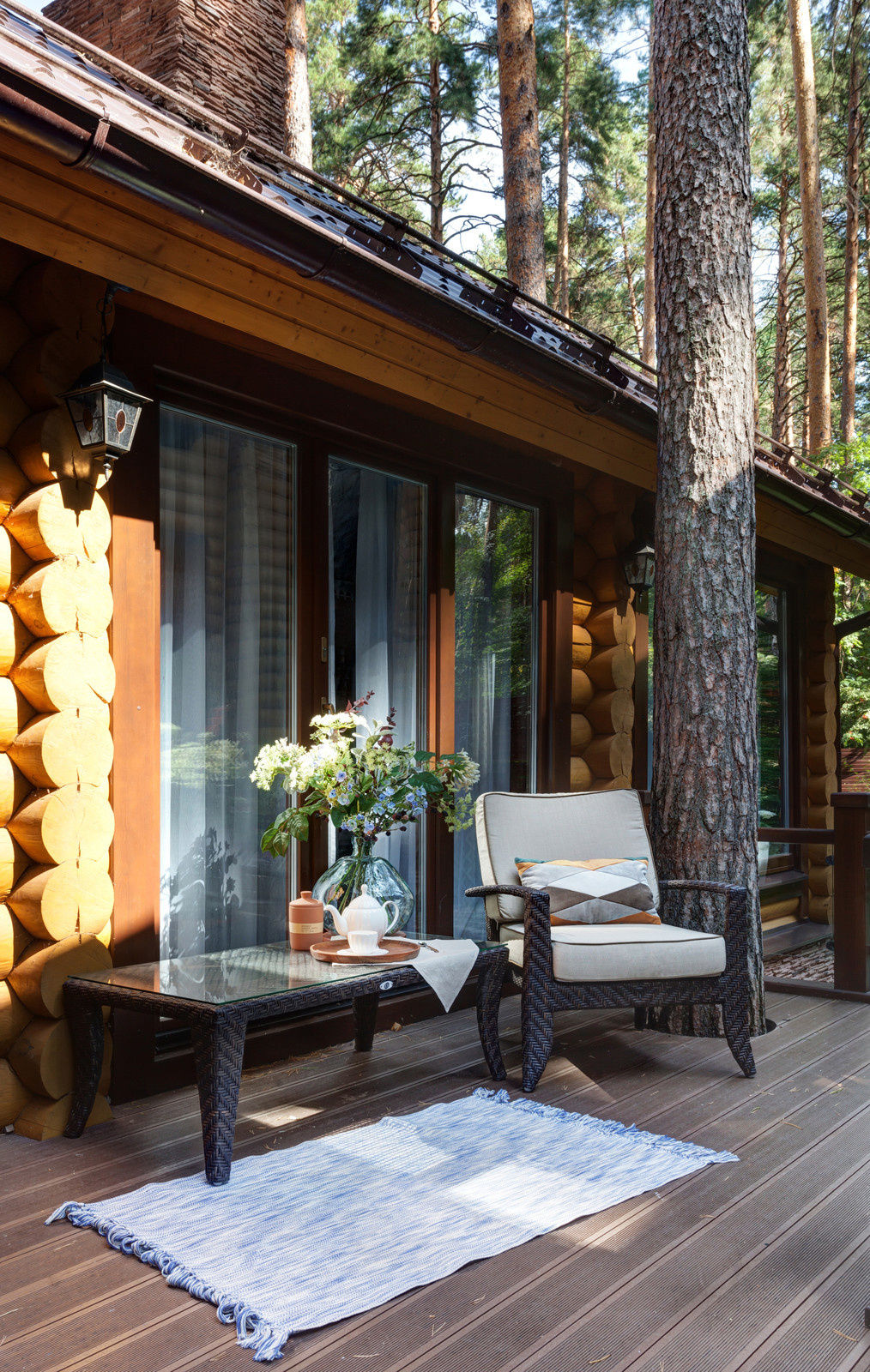 Нouse in a pine forest