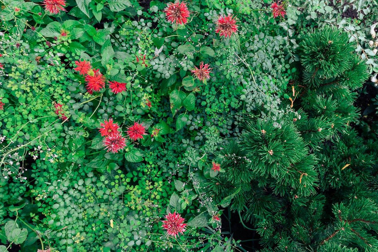 Выставочное пространство в г. Екатеринбурге, Ленина 1 , Россия