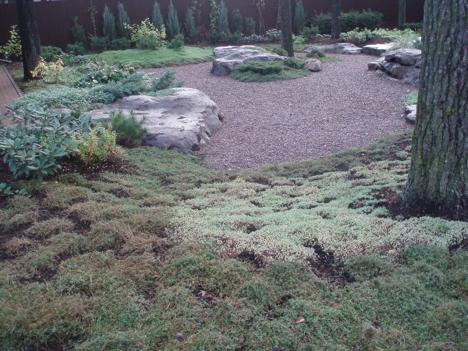 реставрация сада