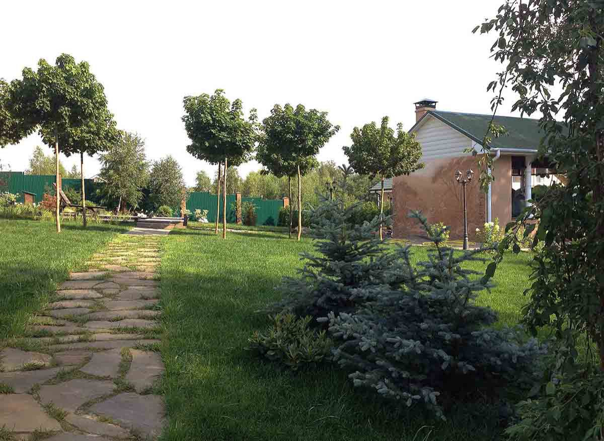 Деревня Алексино Истринского района