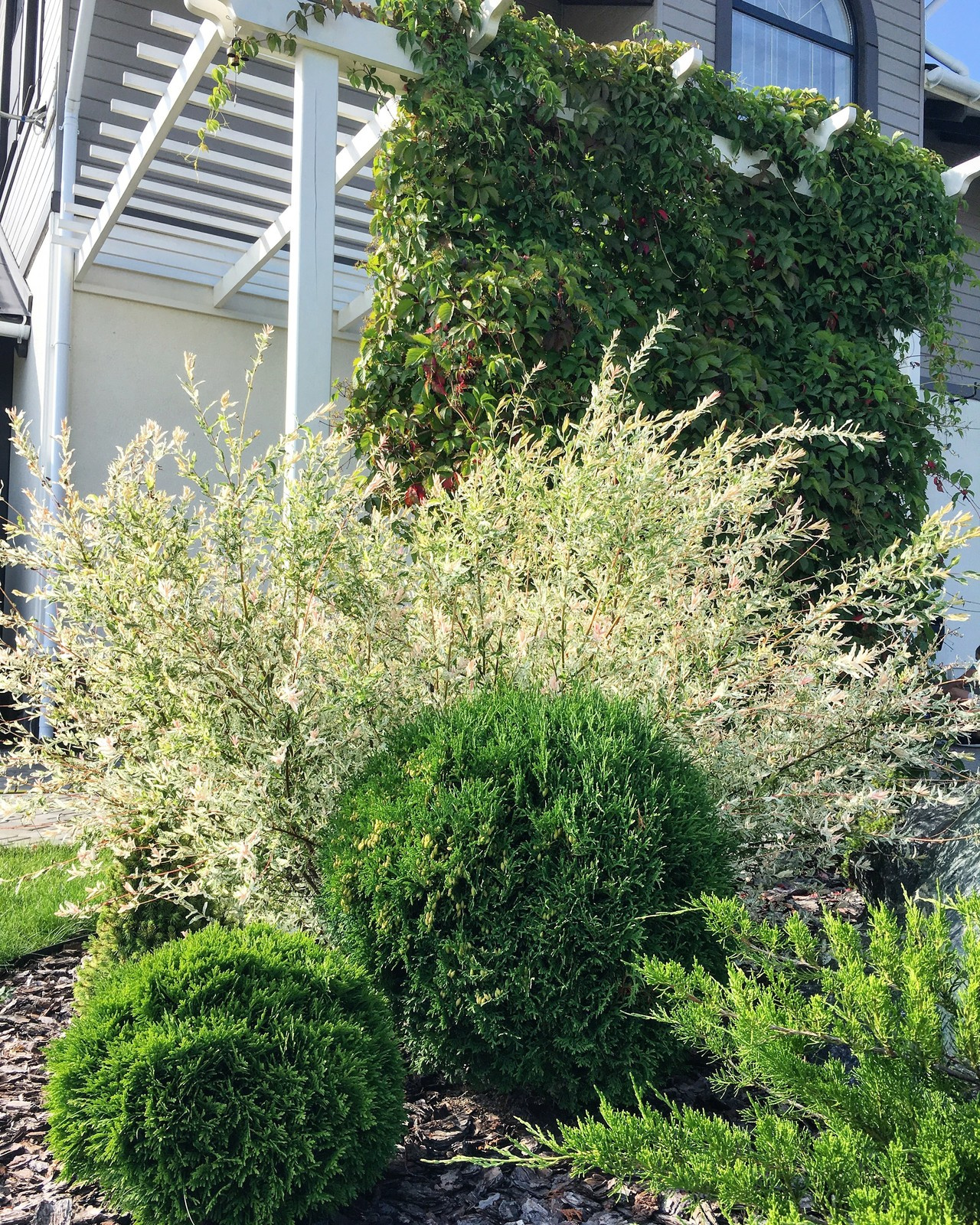 Ландшафтный дизайн сада в поселке "Олимп"