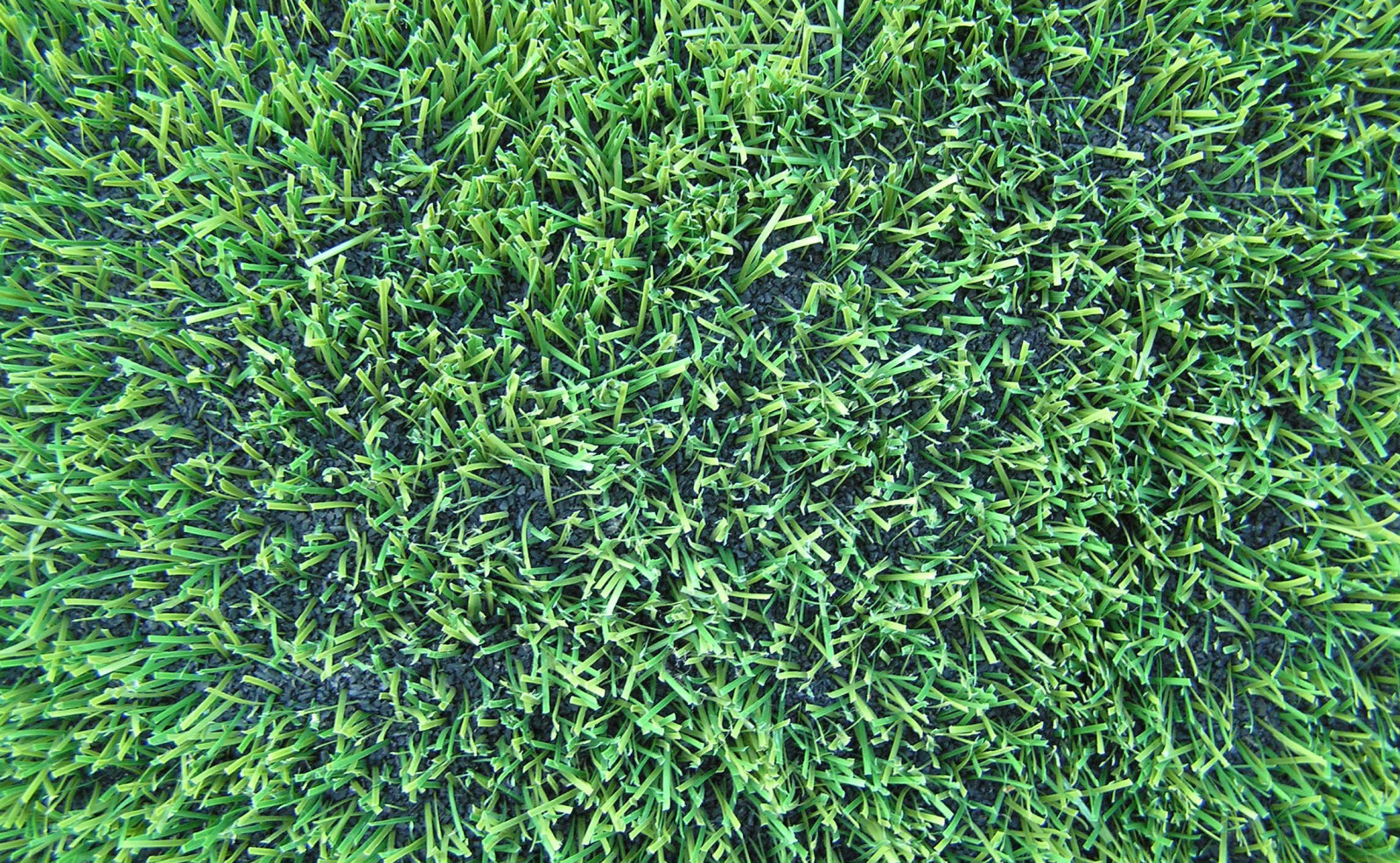 Фоновое изображение профиля ООО "Ателье "Пейзаж"