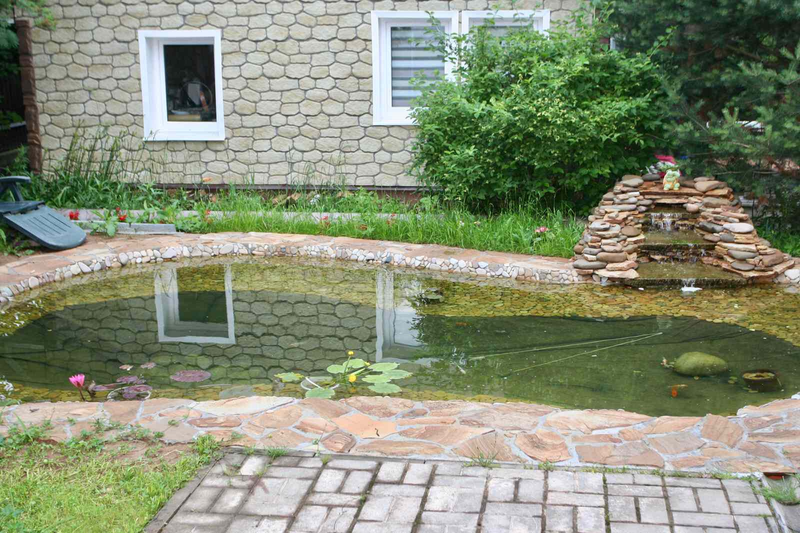 Обложка проекта: Декоративный пруд