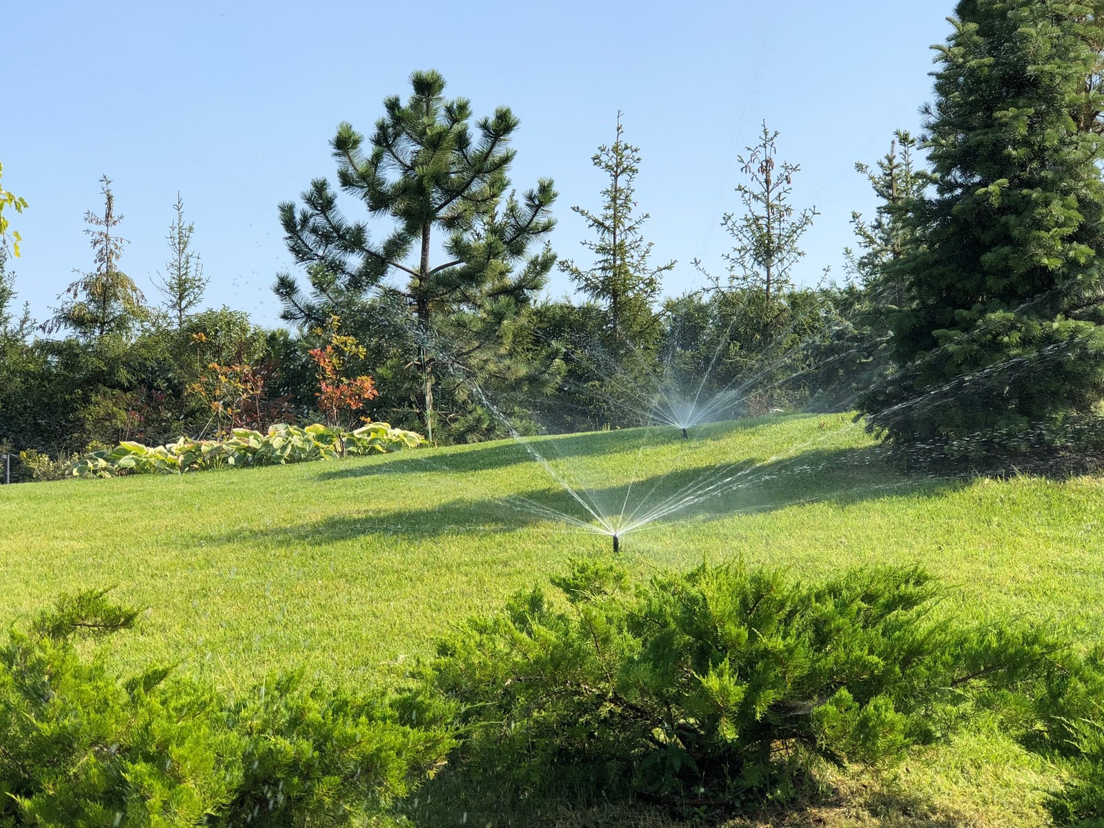 Профи-полив