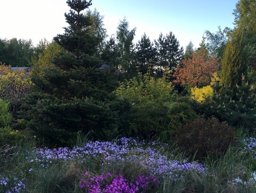 ТЕПЛЫШКО МОЕ РАСПУШЕННОЕ.