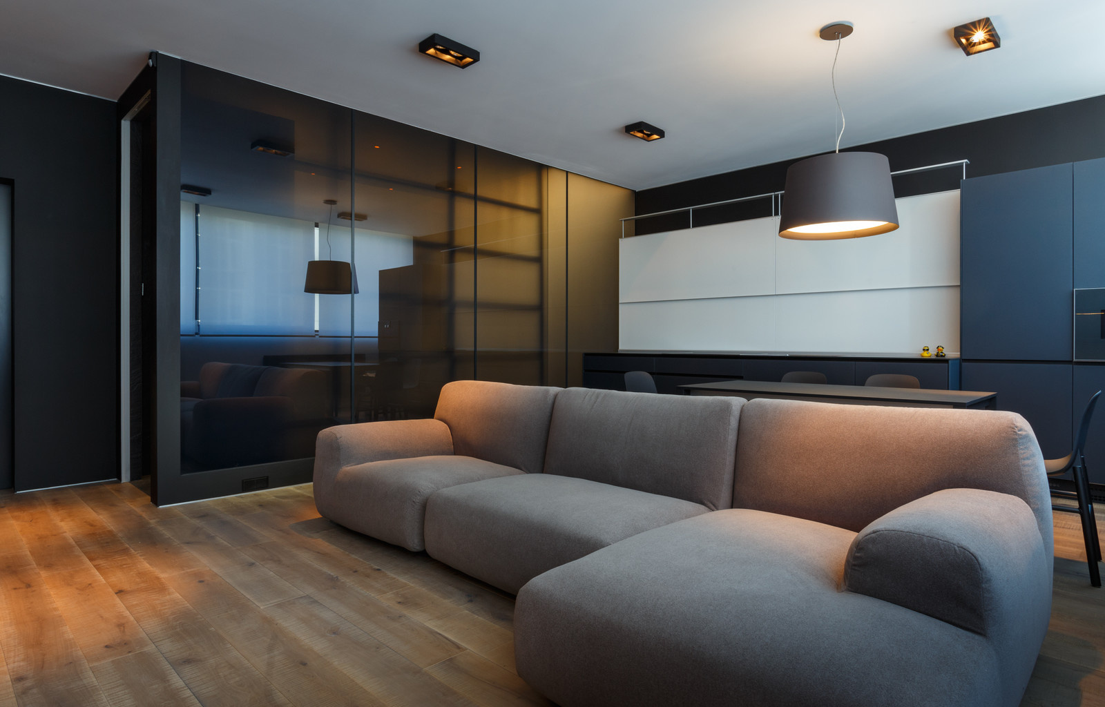 dt1-house