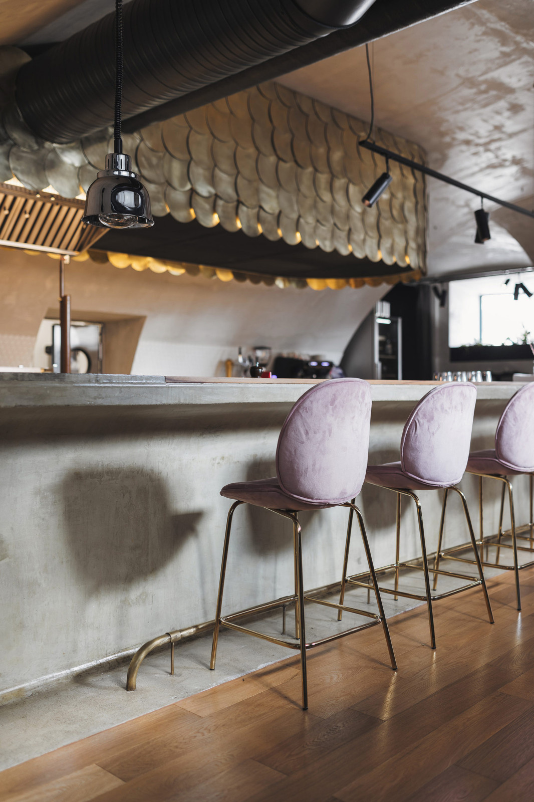 Павел Фролов