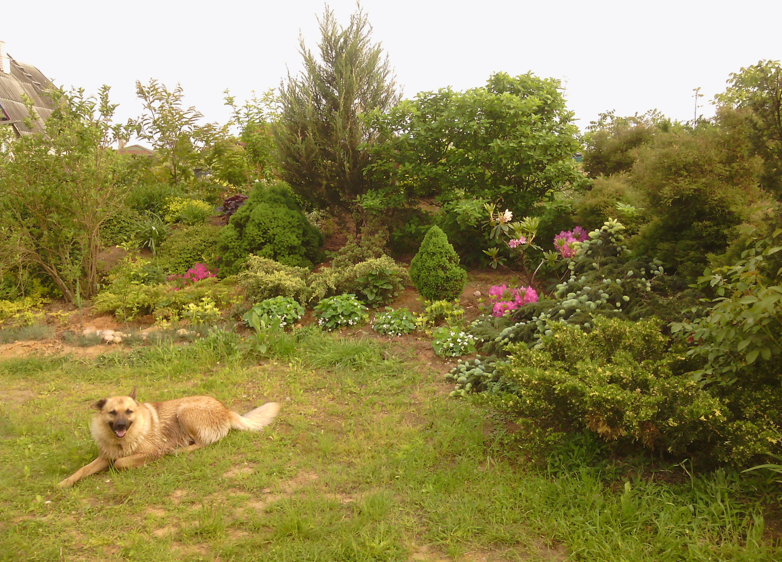 Наш собственный сад