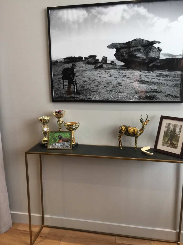 Фоновое изображение профиля Ольга