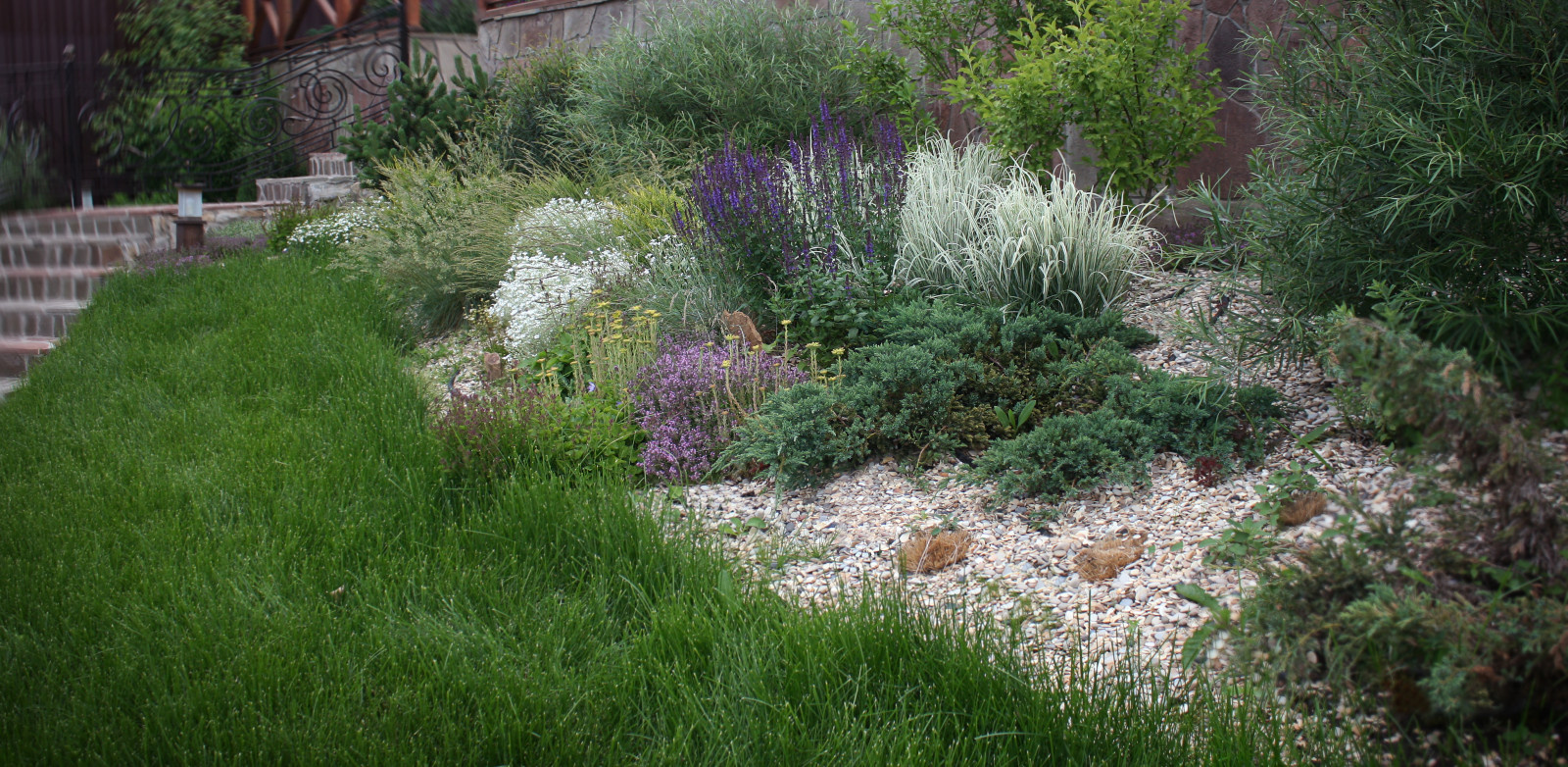 Обложка альбома: Проект недели:  Сад с ХХХХ бассейном в Борках